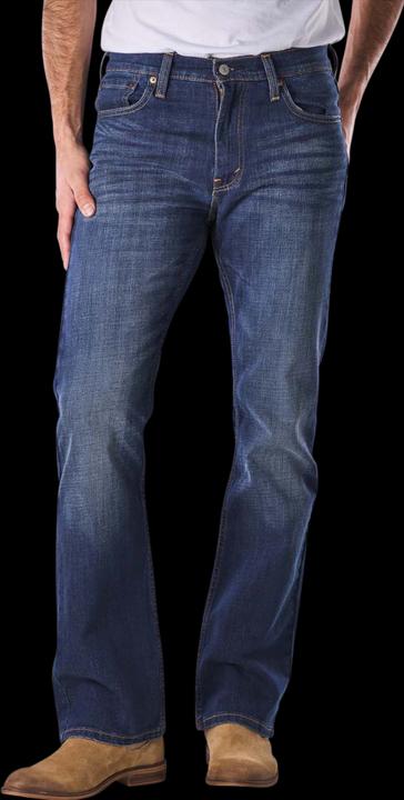 Image du produit Levis 527 Jeans Slim Bootcut wave allusion (W33/L30)