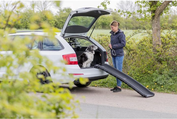 Actual product image Trixie 3939 Petwalk folding ramp (Dog, Cat)