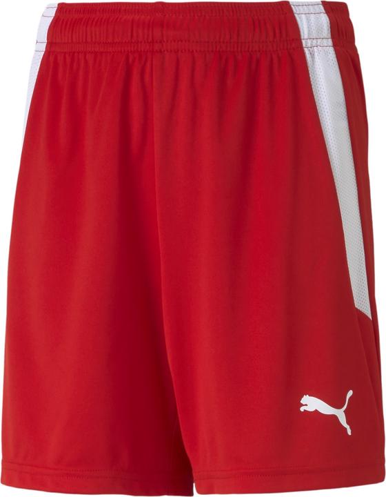 Image du produit Puma short teamLIGA Jr-704931 (116)