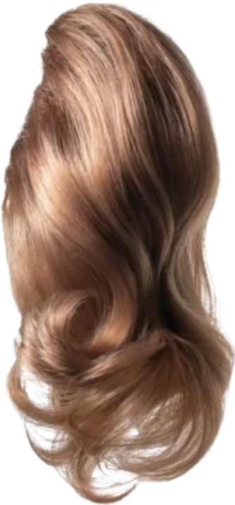 Image du produit Balmain DoubleStyle Queue de Cheval Mémoire Cheveux (35 cm)