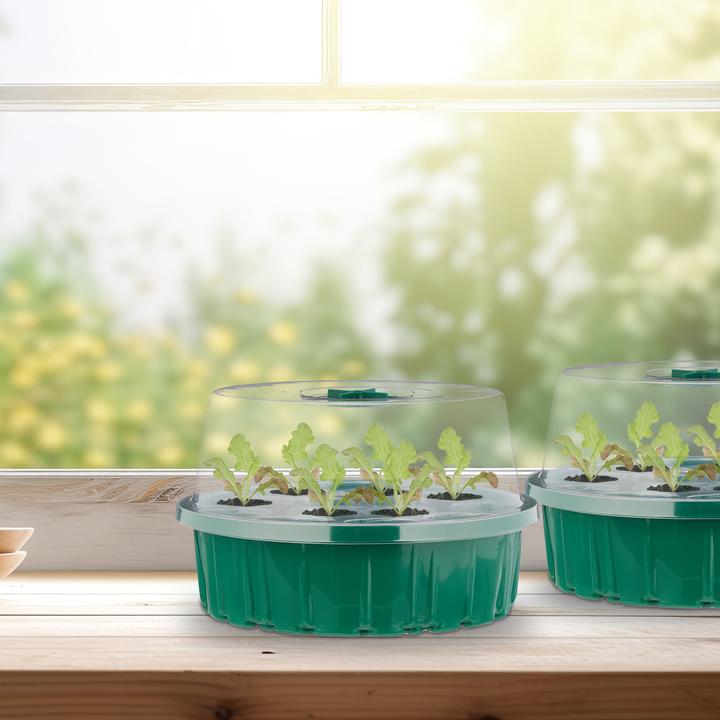 Actual product image Relaxdays 2x propagator greenhouse