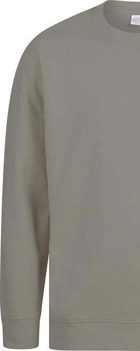 Image du produit SF - Pull - Adulte (L)