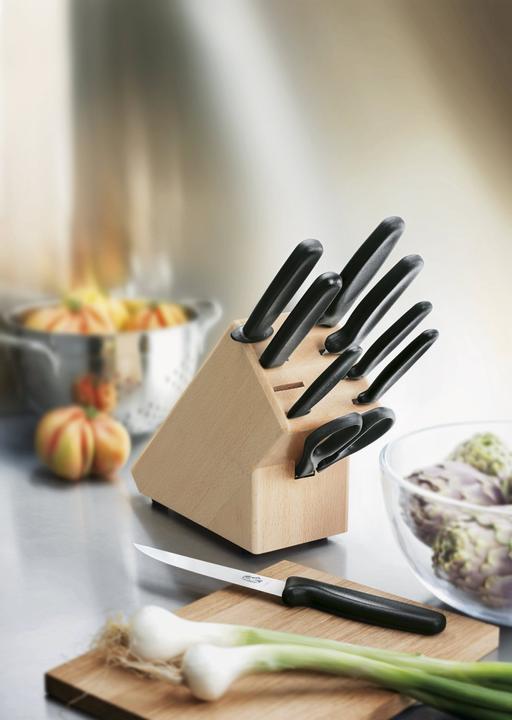 Image du produit Victorinox Bloc de couteaux