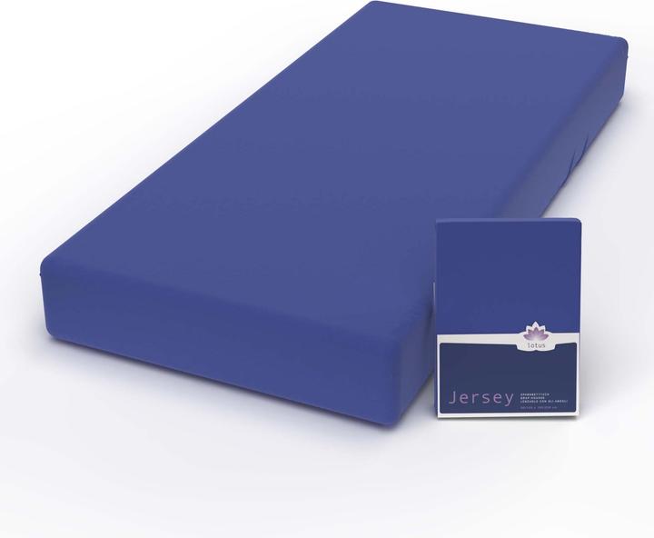 Image du produit Lotus Bettwaren Jersey Fix Comfort (120 x 200 cm)