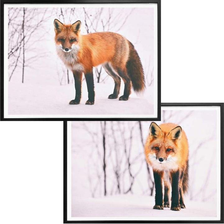 Immagine prodotto Trenddeko Volpe nella neve - 2 pezzi (30 x 24 cm)