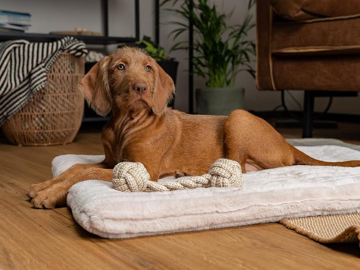 Produktbild Trend Pet Harmony (Katze, Hund)