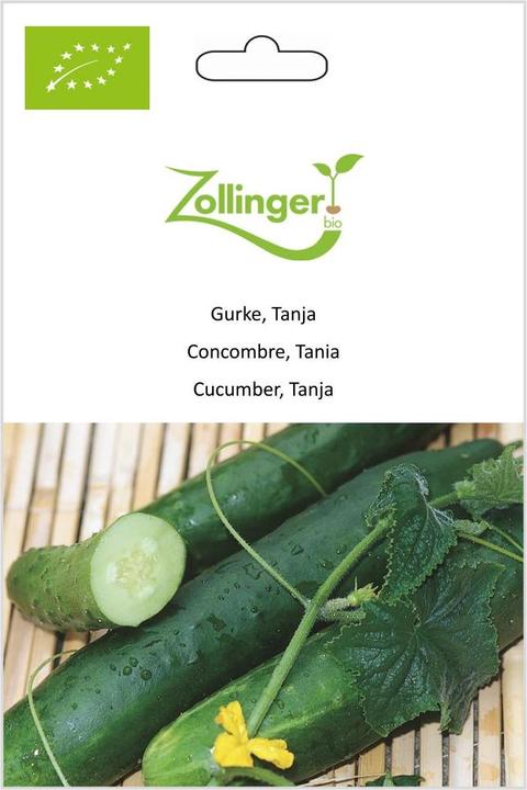 Actual product image Zollinger Bio Cucumber, Tanja