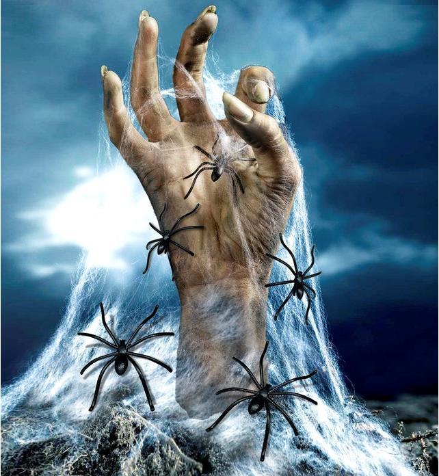 Actual product image Widmann Spiderweb (1 pcs.)