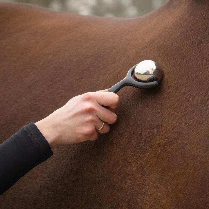 Produktbild Qhp Massage-Roller für Pferde
