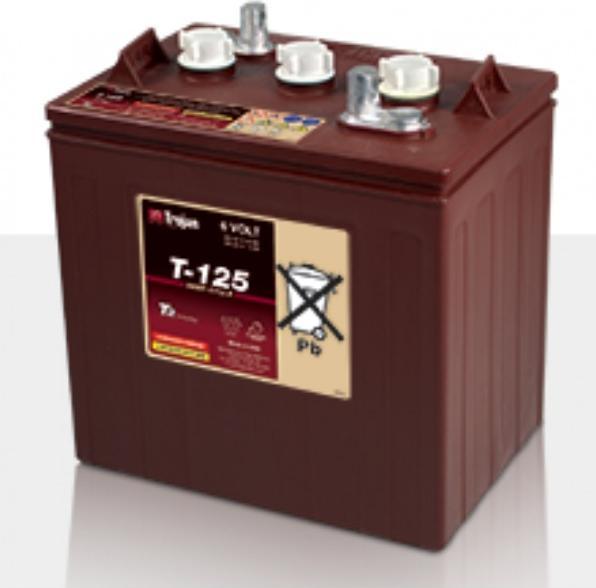 Actual product image T-125 Plus (6 V, 240 Ah)