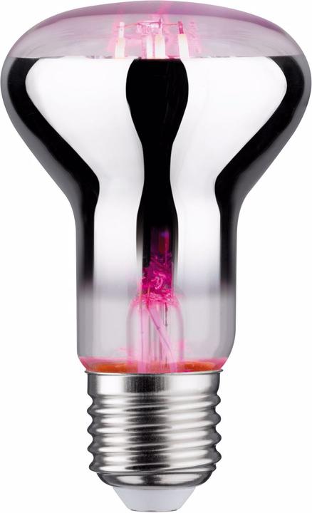 Paulmann Pflanzenlampe (LED, 6.50 V)