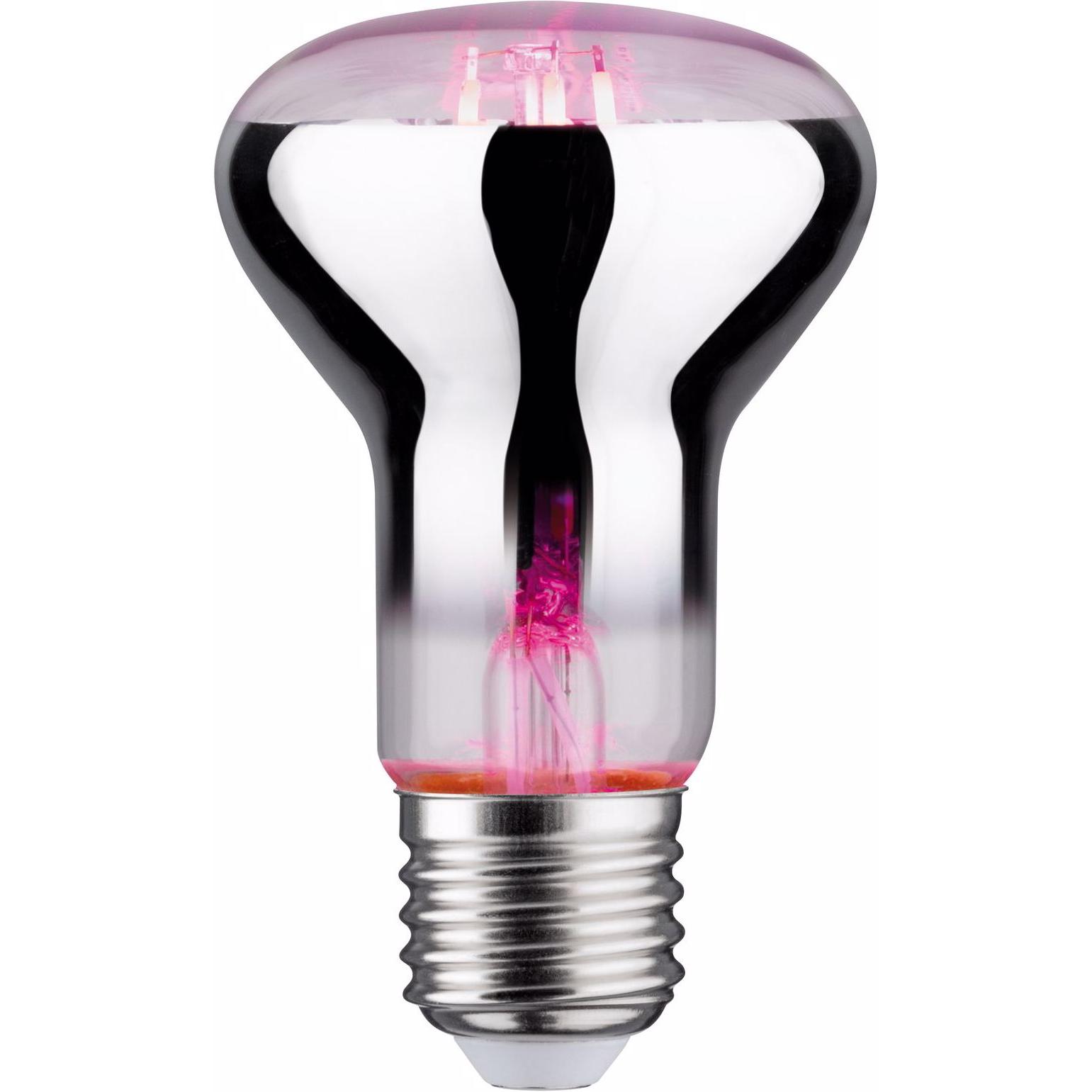 Paulmann, Pflanzenlampe, Pflanzenlampe (LED, 6.50 V)
