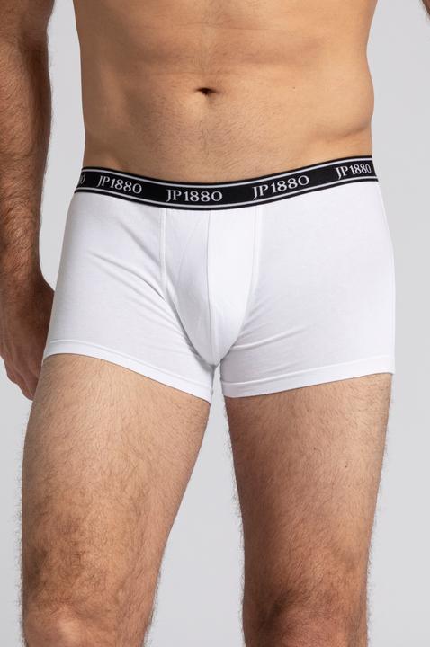 Produktbild JP1880 Hip-Pants FLEXNAMIC®, OEKO-TEX, 2er-Pack, Unterhose, bis 8XL (12XL, 2er Pack)
