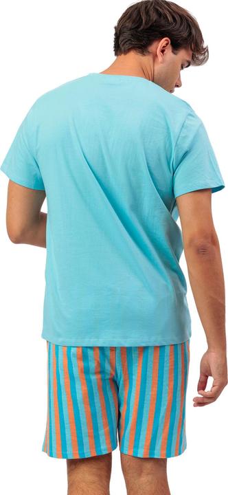 Produktbild Admas Snoopy Van Peanuts (XL)