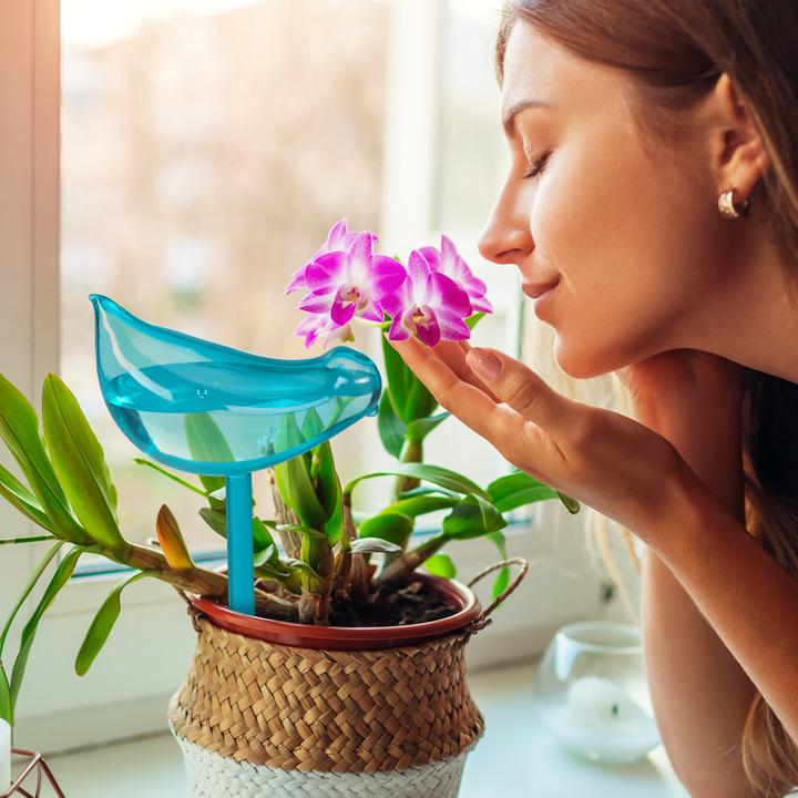 Produktbild Relaxdays Bewässerungskugeln (Bewässerungskugeln)