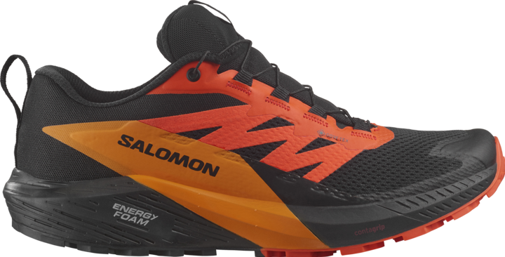 Produktbild Salomon Sense Ride 5 GTX Herren Trailrunningschuhe (44)