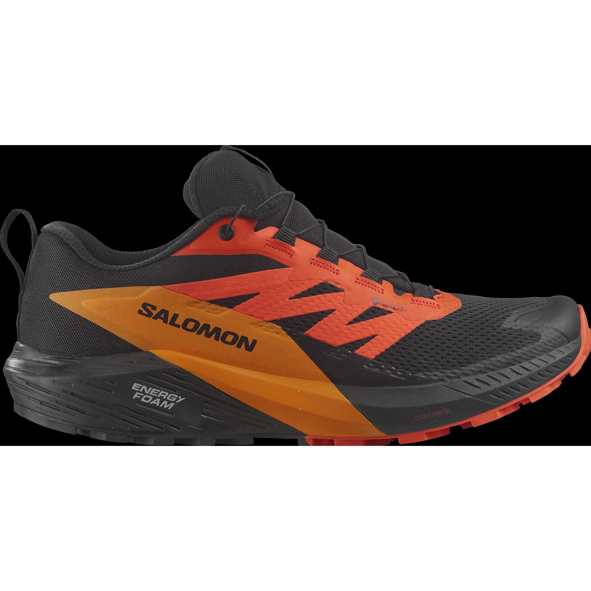 Salomon, Herren, Laufschuhe, Sense Ride 5 GTX Herren Trailrunningschuhe (44), Schwarz