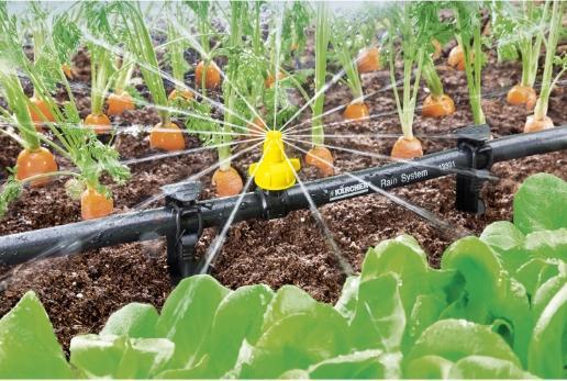 Actual product image Kärcher Spray sleeve 26452360 (Drip irrigation dripper)
