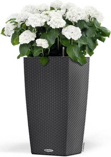 Immagine prodotto Lechuza Vaso per piante Cubico Cottage 30 nero con sistema di irrigazione del terreno incluso (32 x 29.50 x 56.50 cm)
