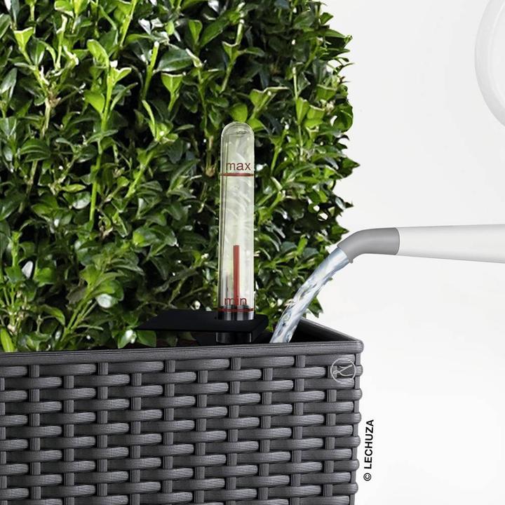 Immagine prodotto Lechuza Vaso per piante Cubico Cottage 30 nero con sistema di irrigazione del terreno incluso (32 x 29.50 x 56.50 cm)