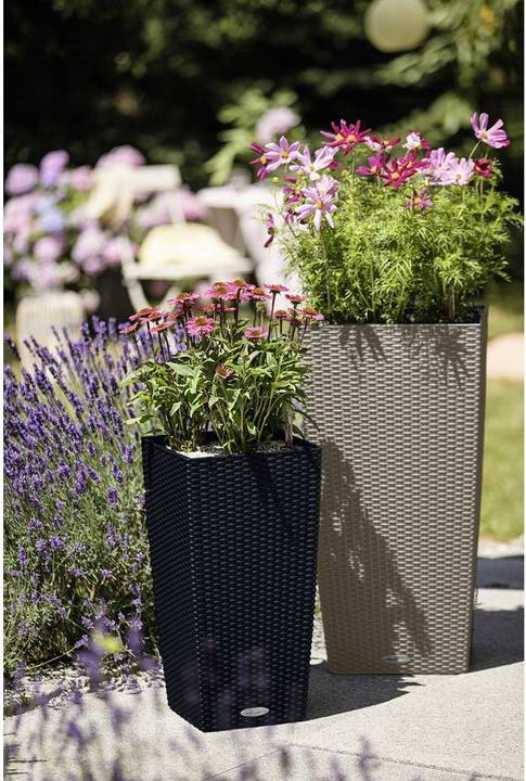 Immagine prodotto Lechuza Vaso per piante Cubico Cottage 30 nero con sistema di irrigazione del terreno incluso (32 x 29.50 x 56.50 cm)