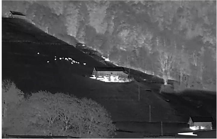 Actual product image Infiray Thermal imaging camera Zoom ZH38