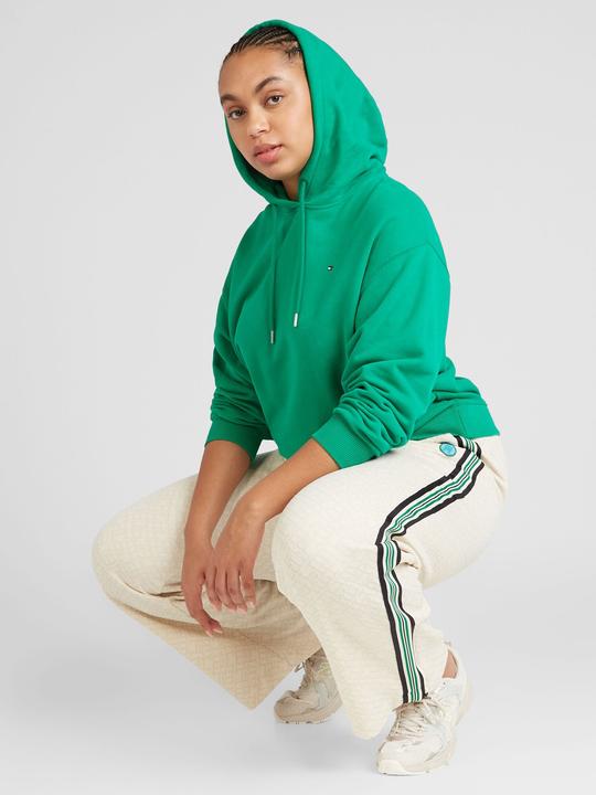 Image du produit Tommy Hilfiger Sweat à capuche (48)