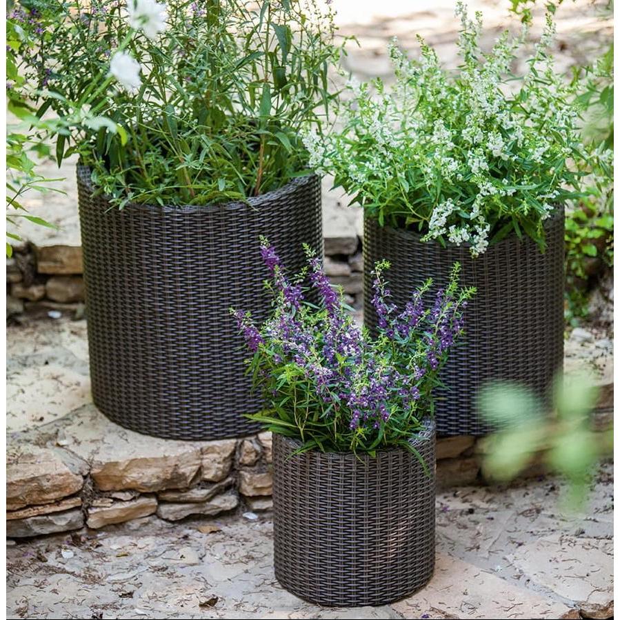 Thumbnail - Curver, Blumentopf, Keter 17197934 Pflanztopf Cylinder Planter, 3-er Set, S/M/L, Kunststoff, braun (28 cm)