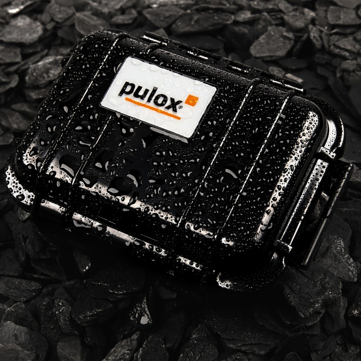Actual product image Pulox PO-200A with alarm