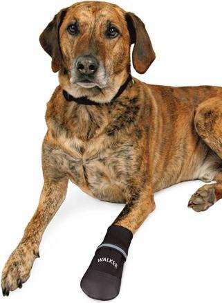 Produktbild Trixie Pfotenschutz Walker Care (XXL, Hundeschuhe)