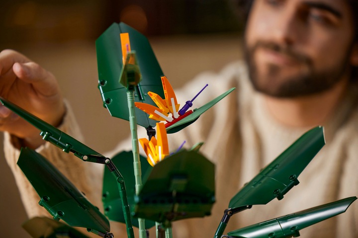 Actual product image LEGO Bird of Paradise (10289, LEGO Rare Sets)