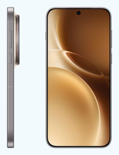 Image du produit Vivo X300 Pro EU (512 Go, Dune Brown, 6.78", SIM + eSIM, 5G)
