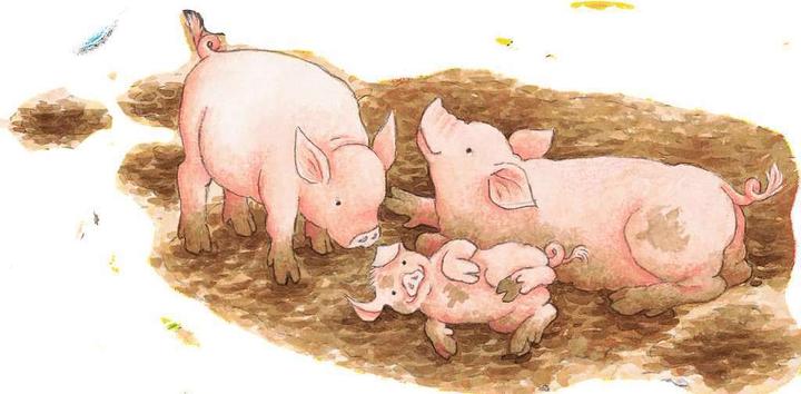 Image du produit Ravensburger Dans la grande ferme (40 pièces)