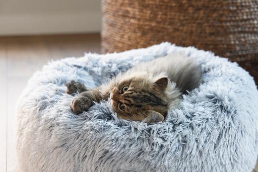 Productafbeelding Beeztees Orthopaedisch Katzenbett Siba (Kat)