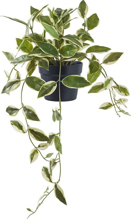 Produktbild House Nordic Hoya (33 cm)