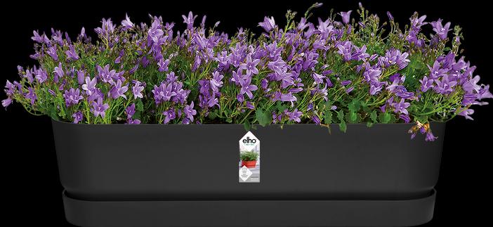 Actual product image Elho Greenville (19.50 cm)