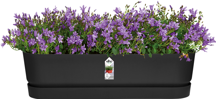 Actual product image Elho Greenville (19.50 cm)