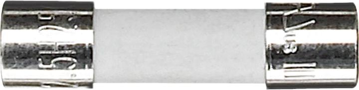 Merten Fusible en verre T 2,5A 250V AC verre 551192 (2.50 A)