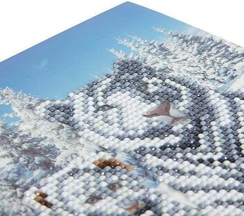 Actual product image Craft Buddy White Tigers