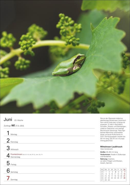 Produktbild Harenberg Heimische Tiere Wochenplaner 2026 - 53 faszinierende Fotografien