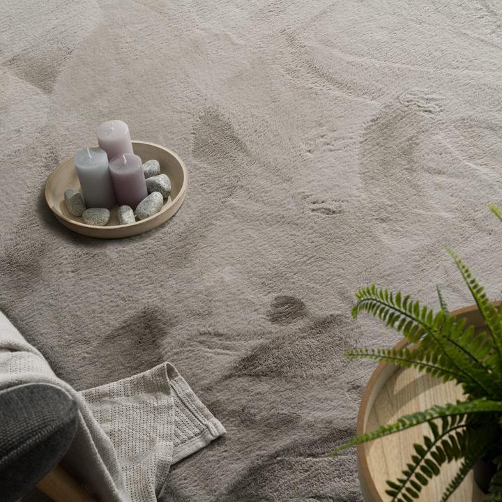 Produktbild TT Home Wohnzimmer Hochflor Teppich Langflor Soft Kaninchenfell Fell Imitat Weich (100 x 60 cm)
