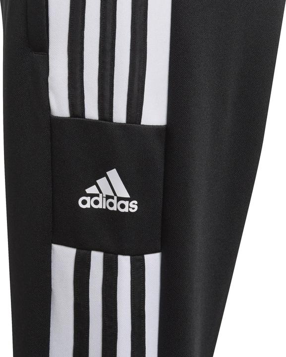 Actual product image adidas Squadra 21 Training Pants Kids (116)