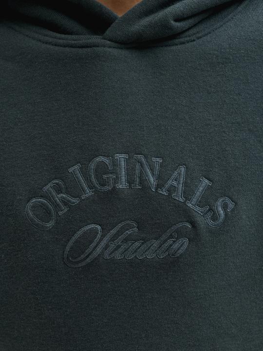 Produktbild Jack & Jones Kapuzenpullover Junior Kapuzenpullover (176)