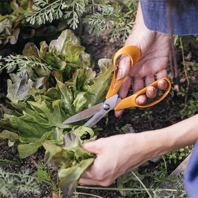 Produktbild Fiskars Bypass Classic