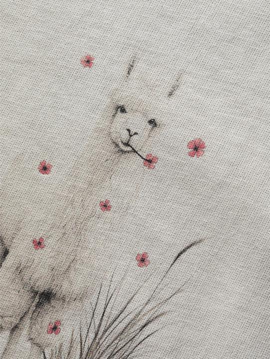Produktbild Chillaz Klettershirt Alpaca Meadow (34)