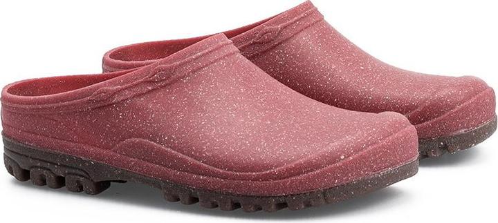 Raspberry