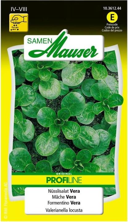 Image du produit Samen Mauser Mâche Vera Profiline (Graines de légumes)