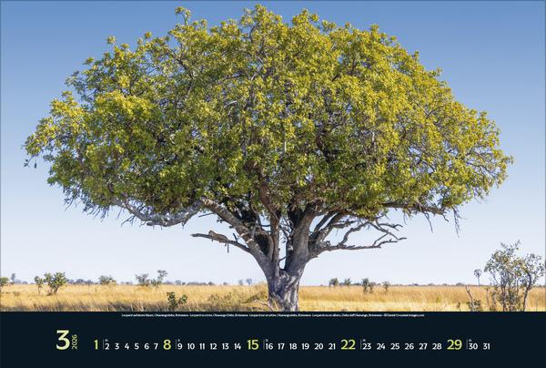 Produktbild Wilde Tiere - weite Landschaft 2026