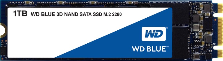 WD Blue (1000 Go, M.2 2280)