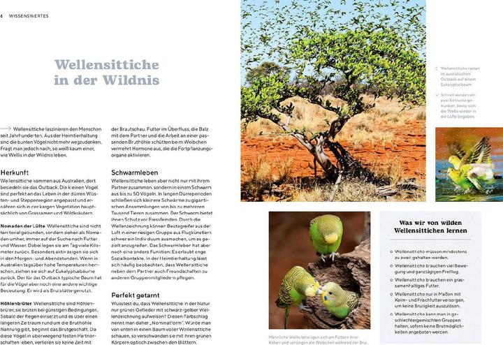 Actual product image Kosmos Wellensittiche (German, Wencke Sabrina Schacht, 2023)